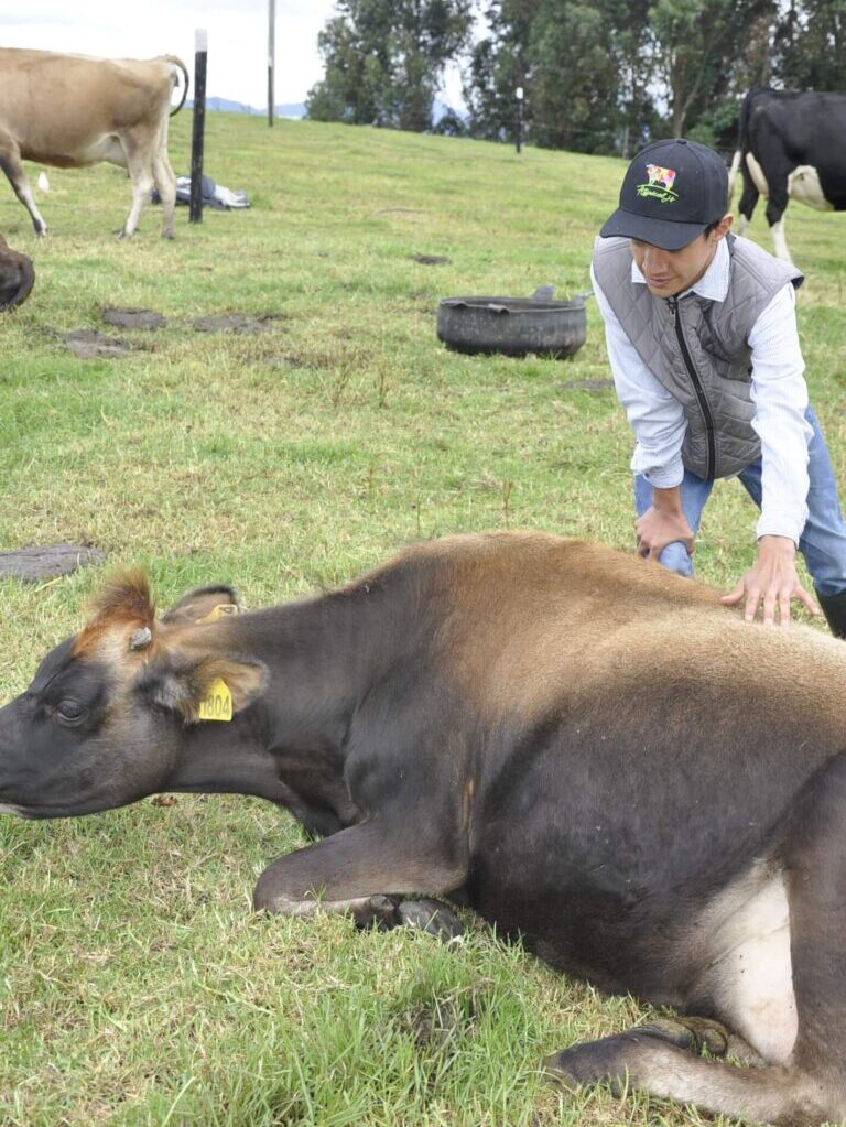 Lacteos de Fabricación Artesanal en Chía