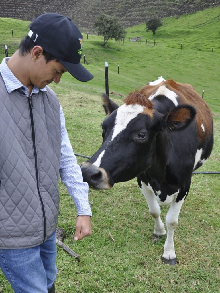 Lacteos de Fabricación Artesanal en Chía