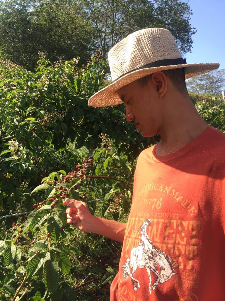 Lacteos de Fabricación Artesanal en Chía