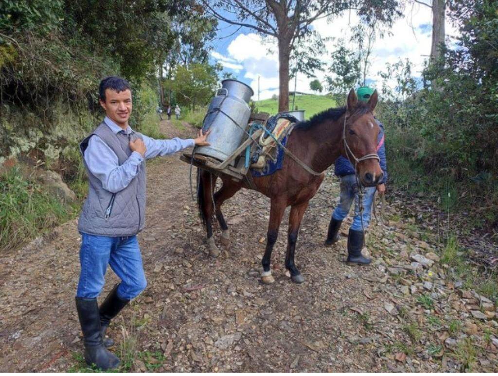Lacteos de Fabricación Artesanal en Chía